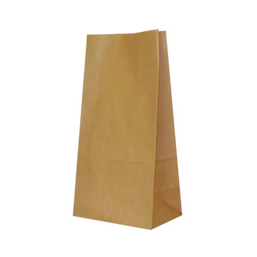 Sachet en papier écologique marron